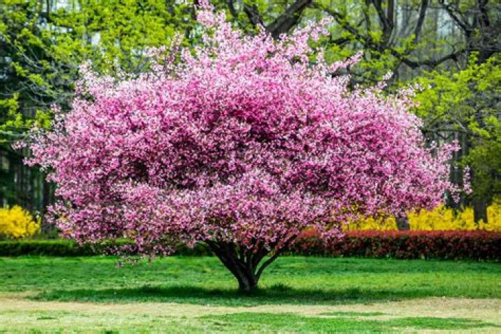 atownhasapopulationof100000andgrowsat7%everyyear.whatwillbethepopulati